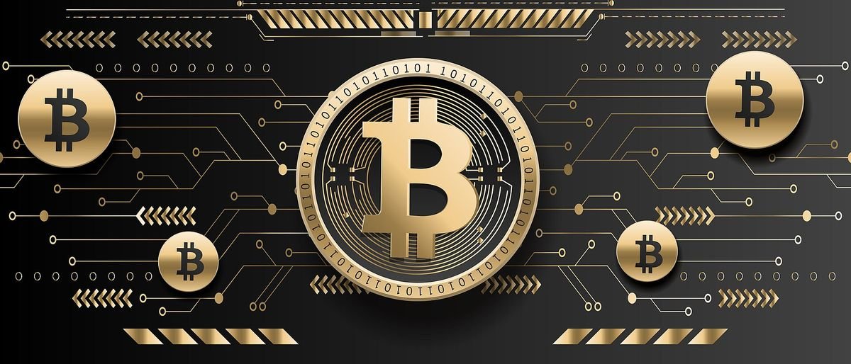 Bitcoin payment, good for 15% off at Shroomyz